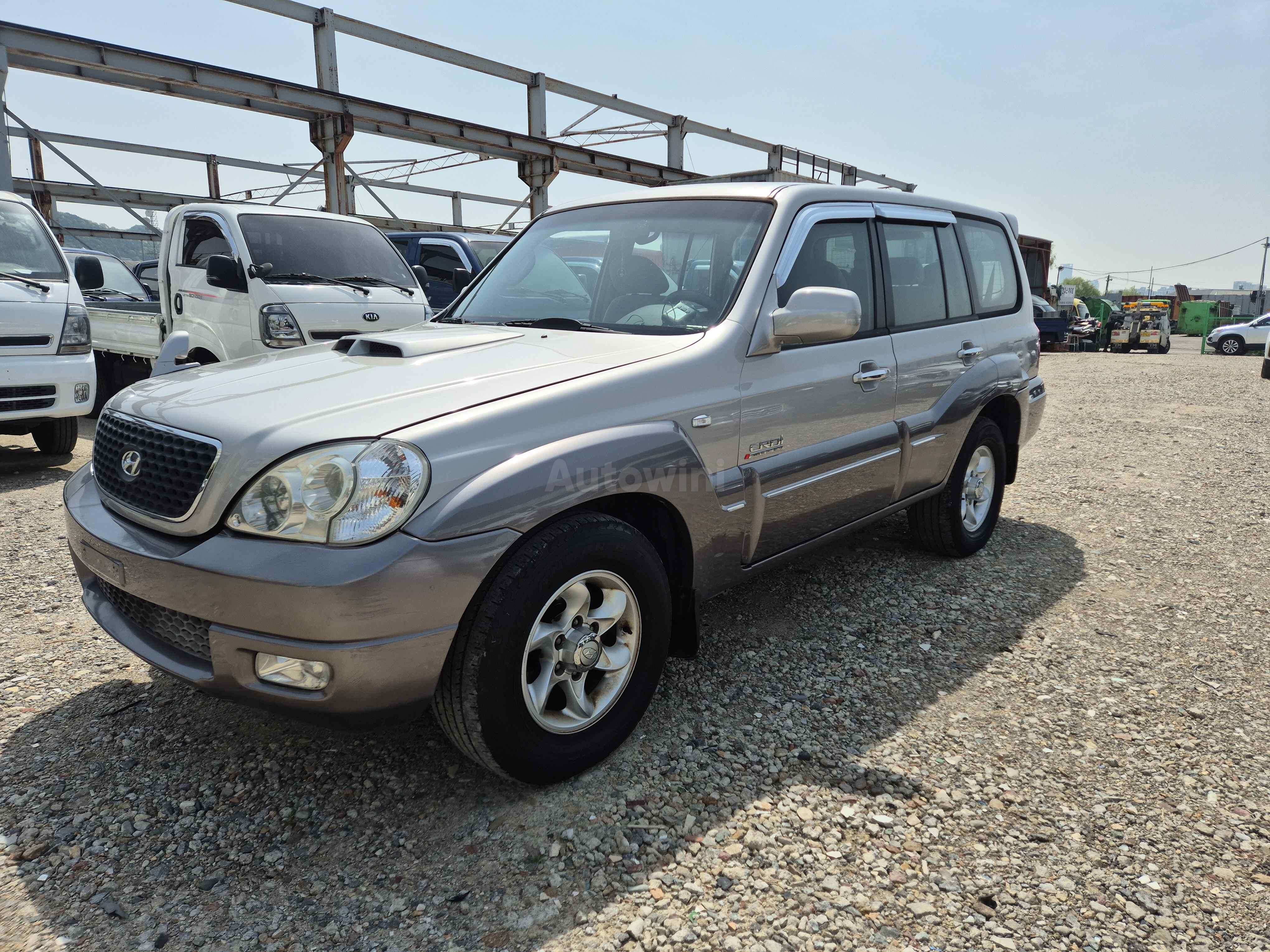 2005 HYUNDAI TERRACAN VIN: KMHNM81XP5U159315