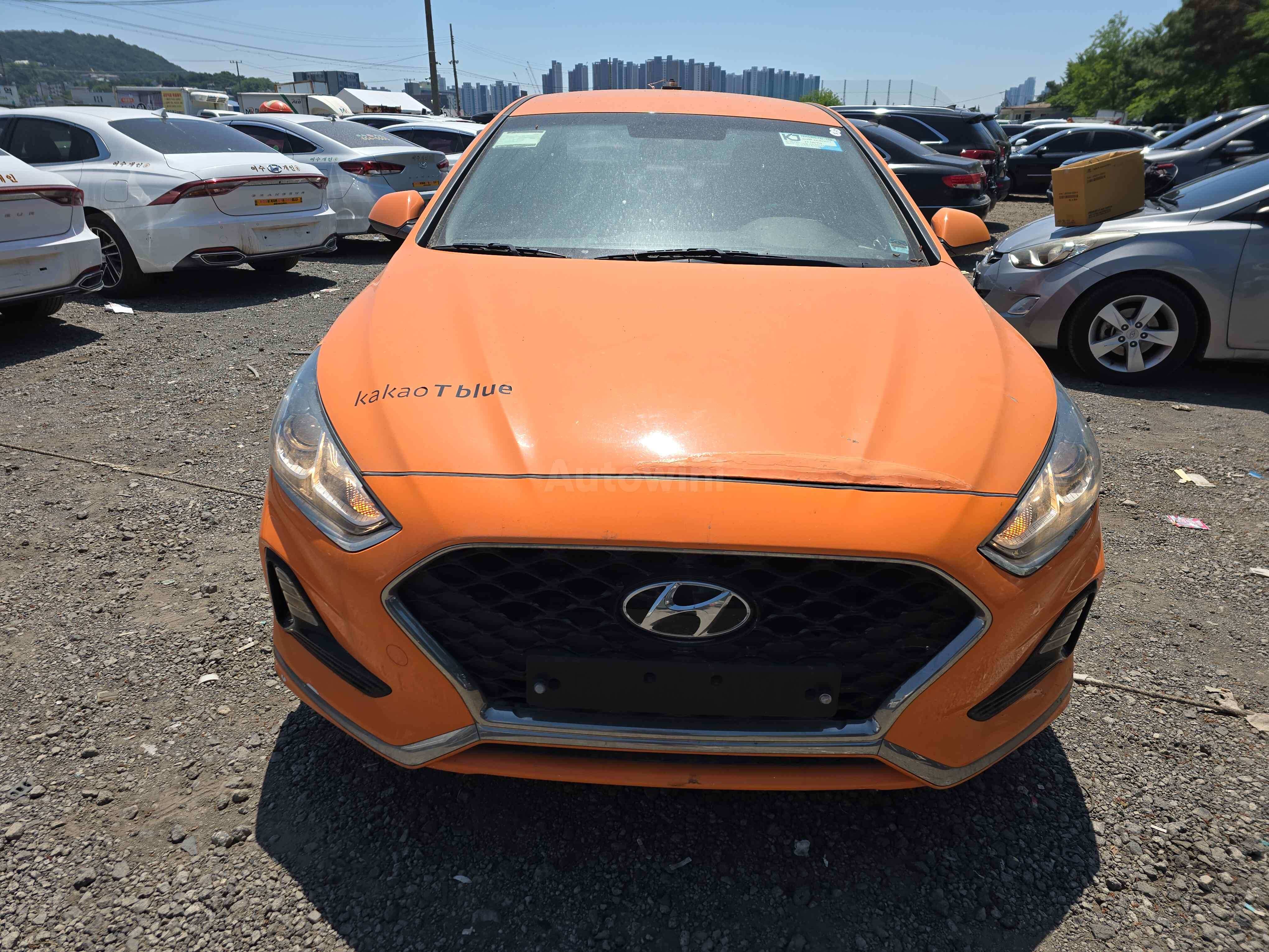 2019 HYUNDAI SONATA VIN: KMHE341DBKA544974
