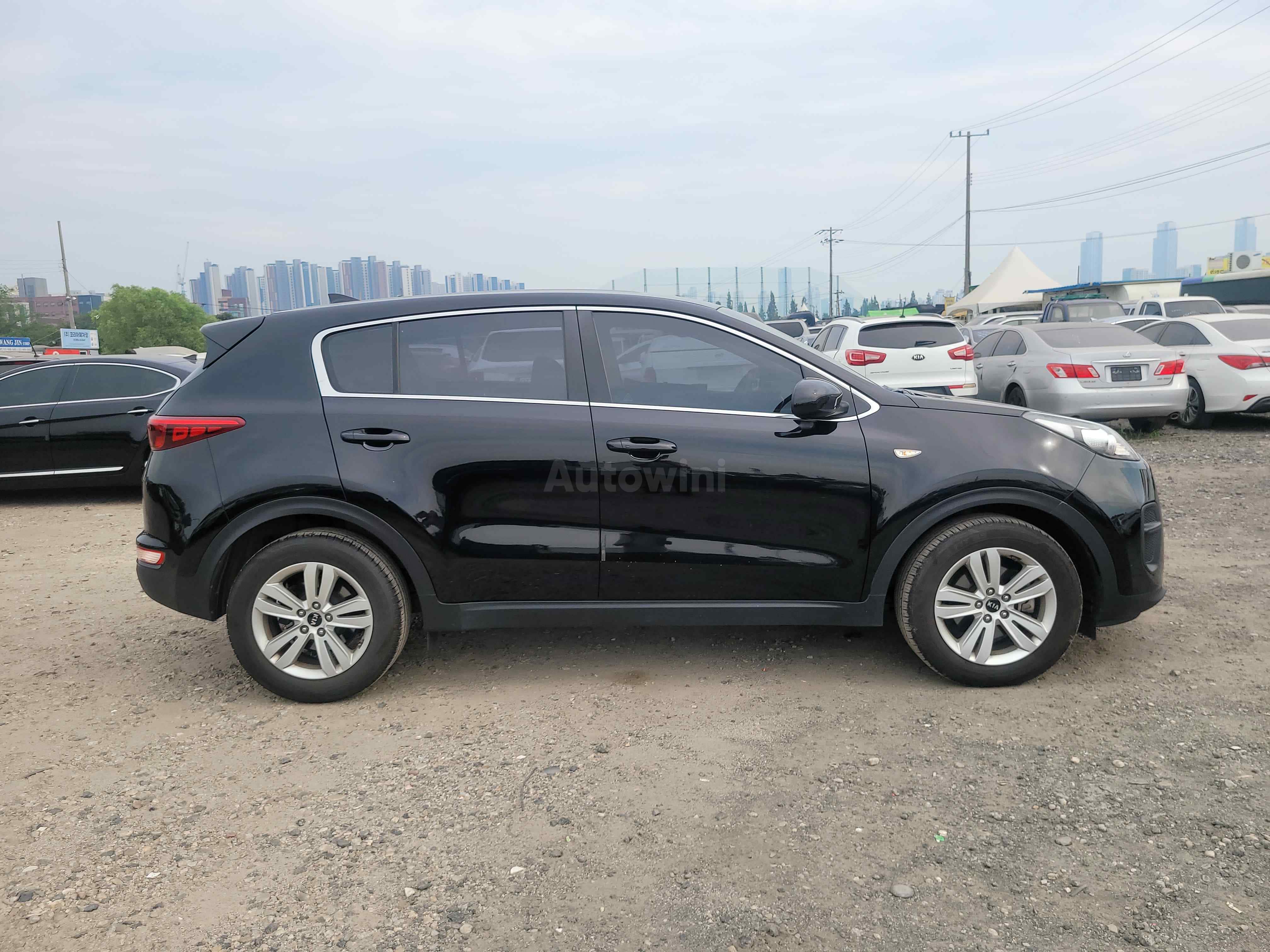 2016 KIA SPORTAGE VIN: KNAPN815GGK060872