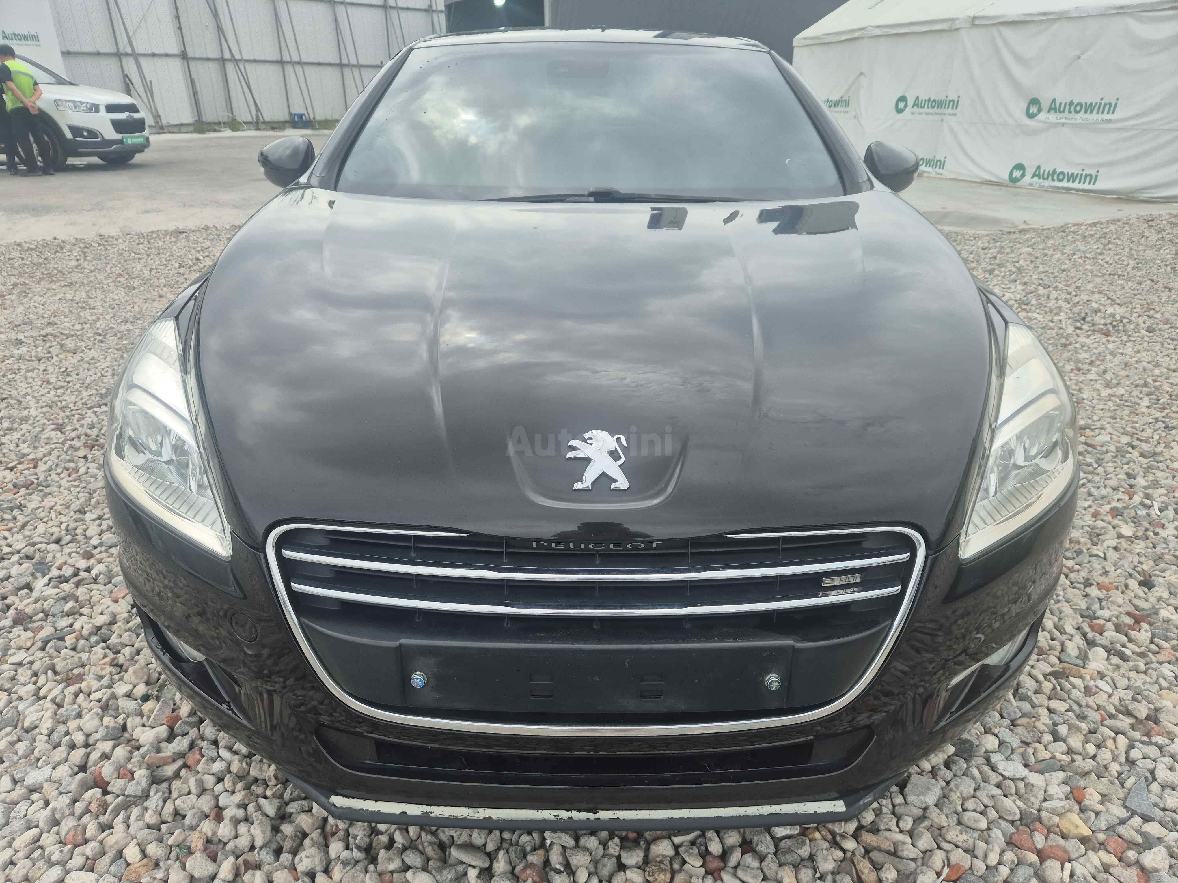 2013 PEUGEOT 508 VIN: VF38D9HD8DL017397