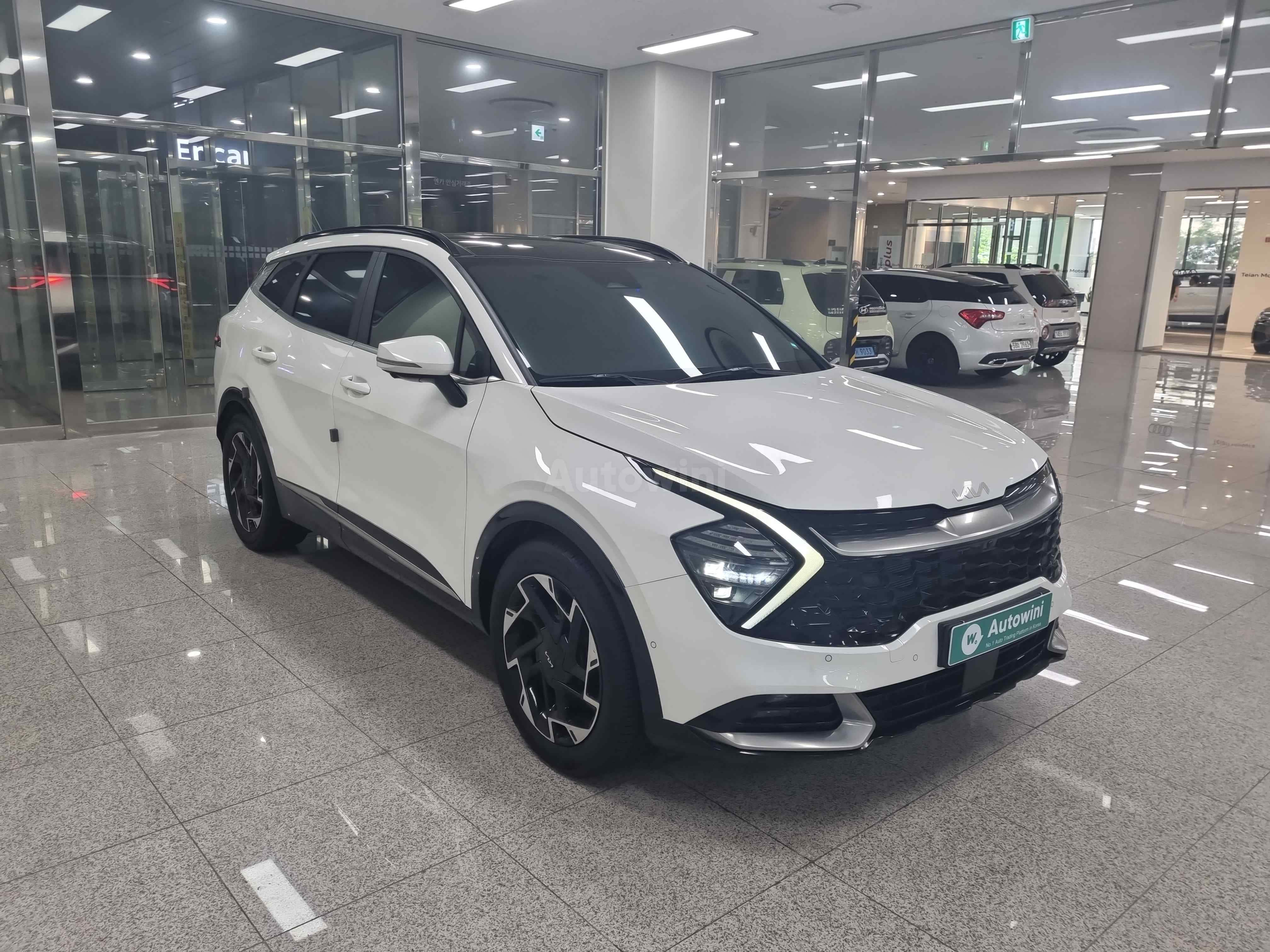 2022 KIA SPORTAGE VIN: KNAPX81CDNK004117