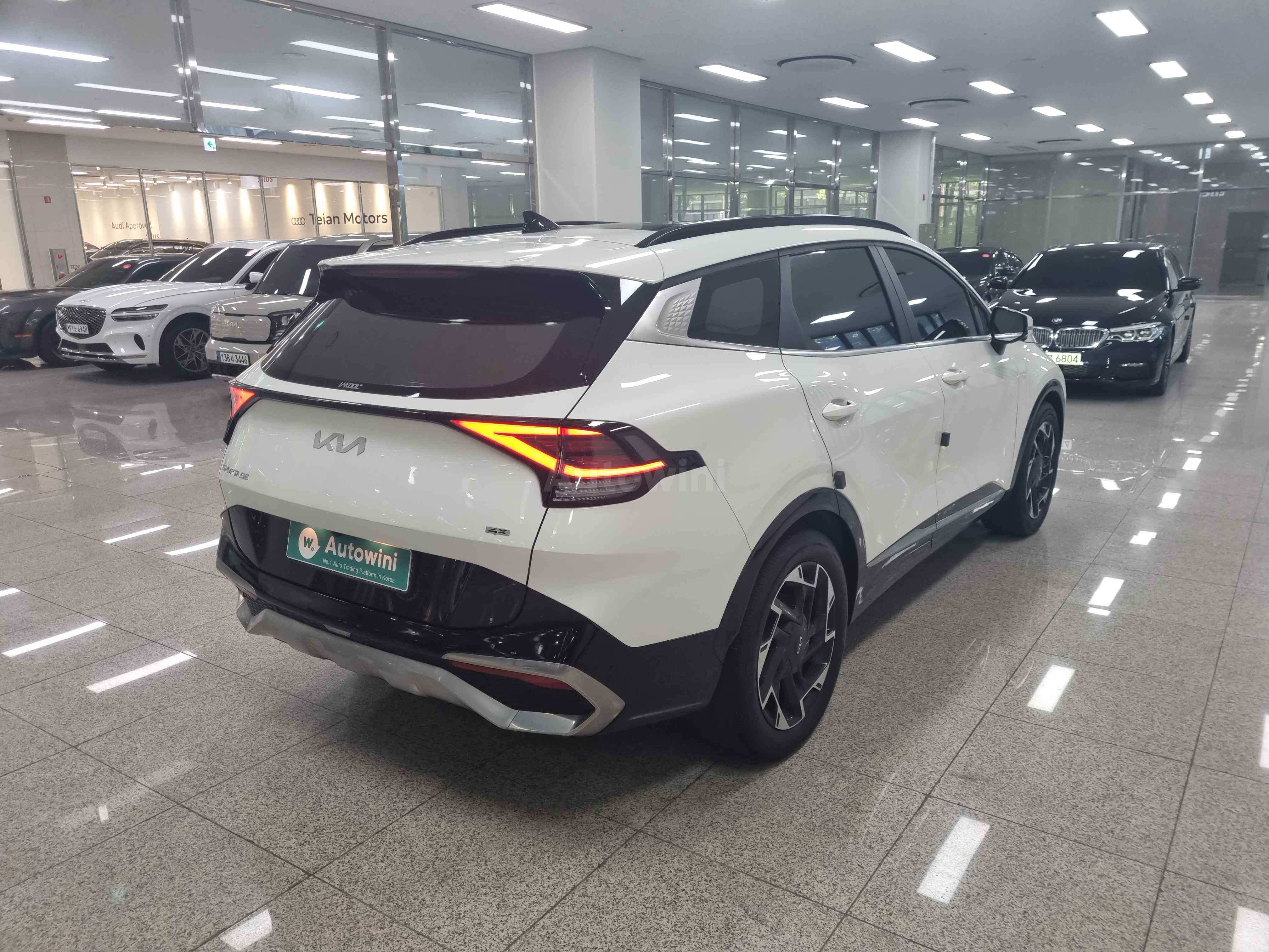 2022 KIA SPORTAGE VIN: KNAPX81CDNK004117