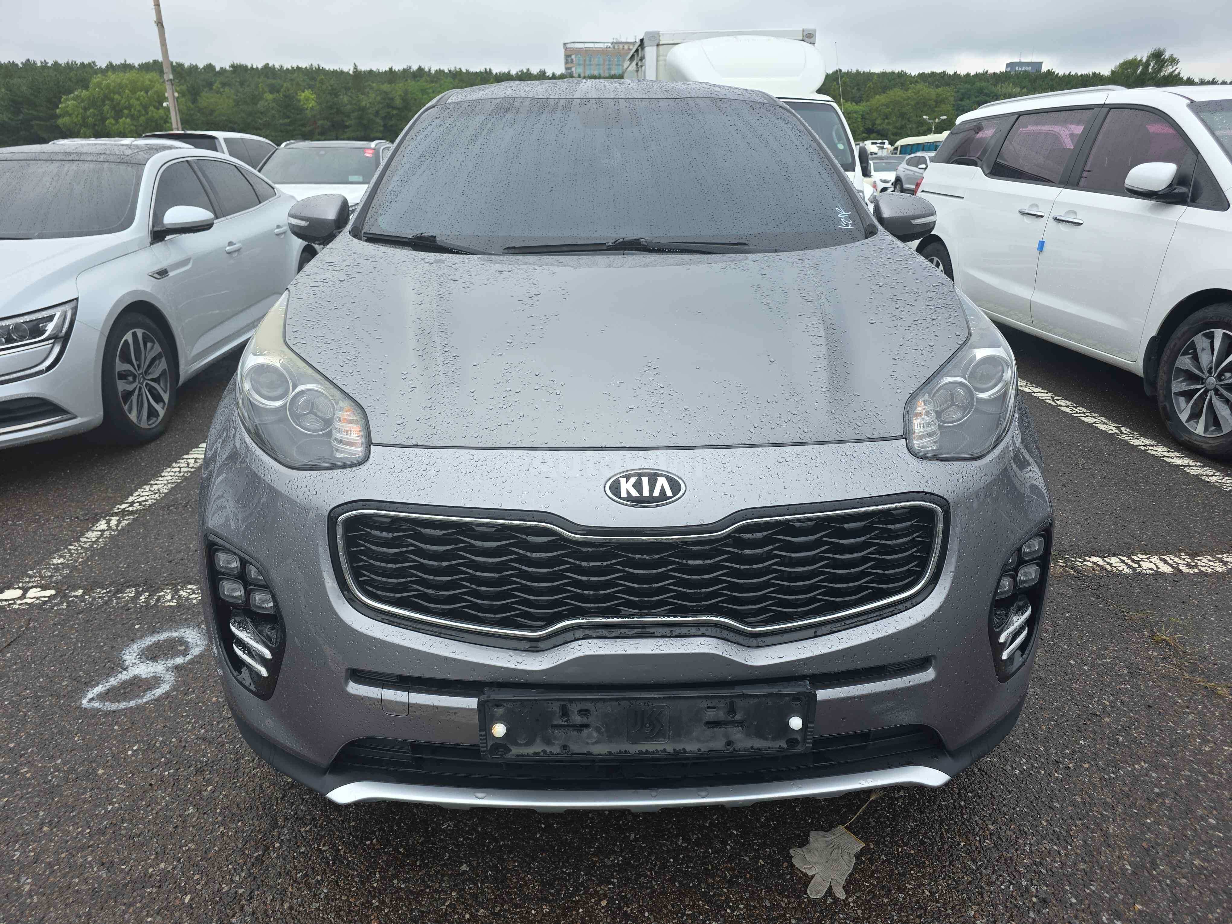 2016 KIA SPORTAGE VIN: KNAPL813BGK018462