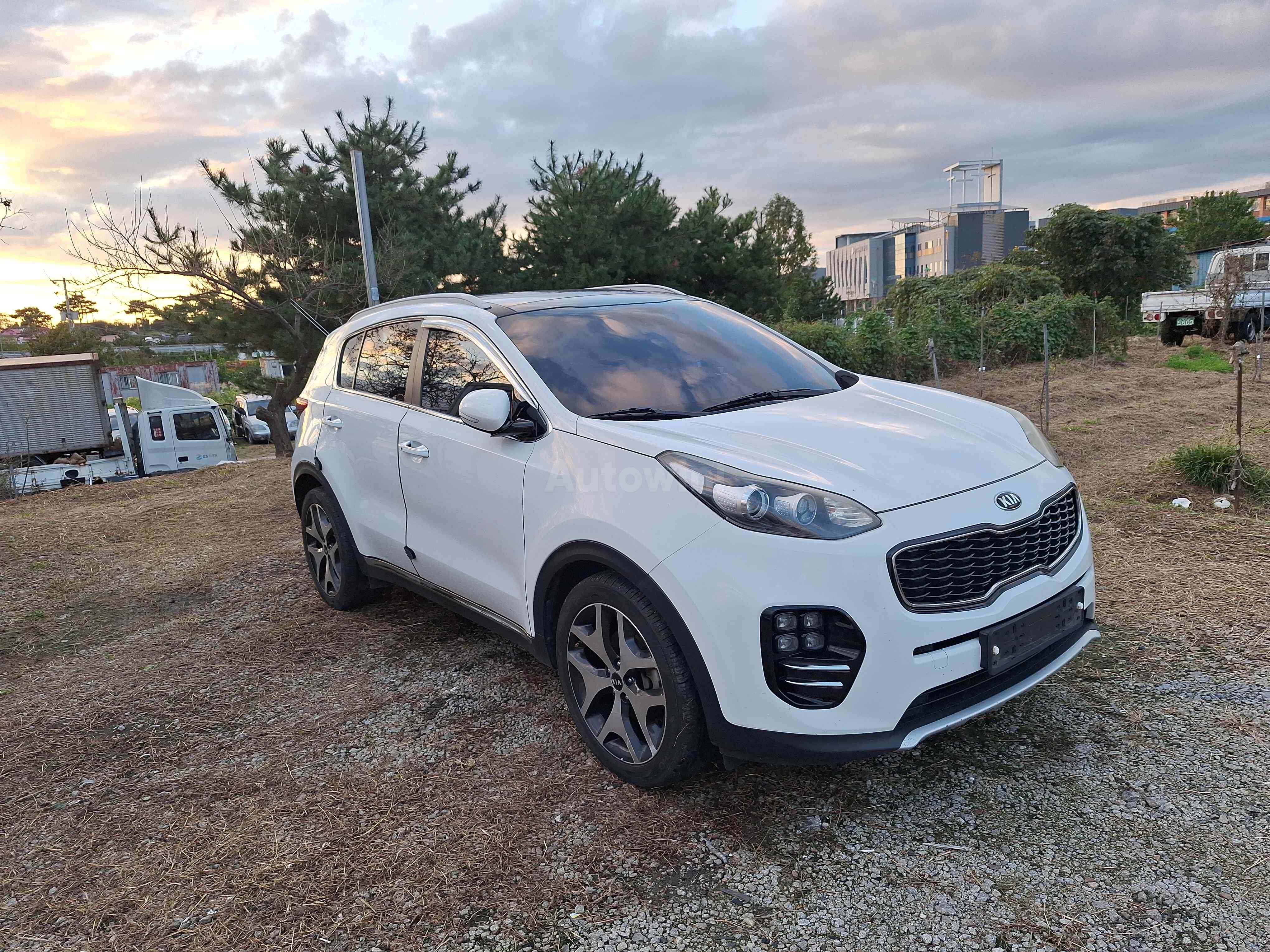 2016 KIA SPORTAGE VIN: KNAPM813BGK063739