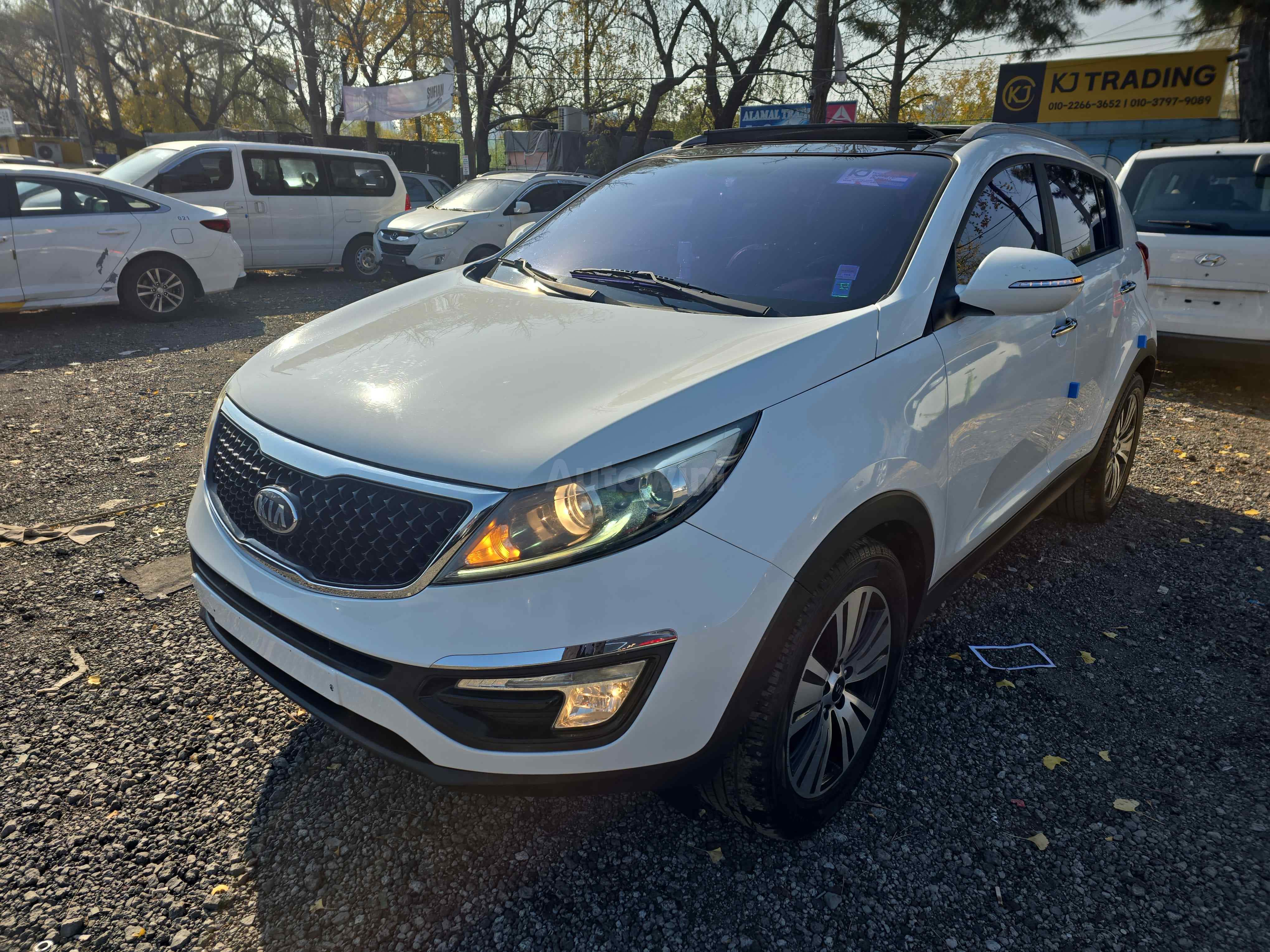 2014 KIA SPORTAGE VIN: KNAPE813BEK577862