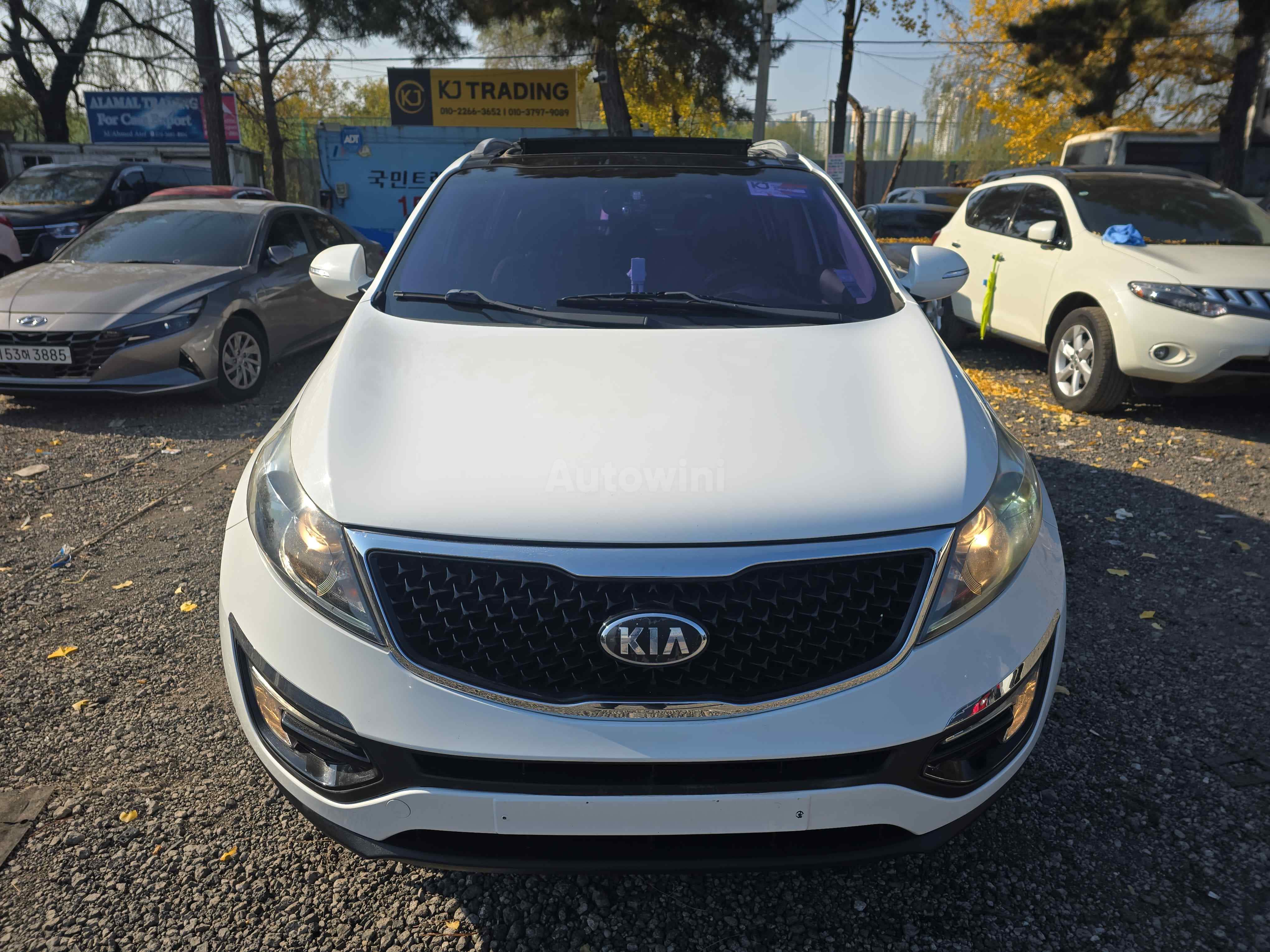 2014 KIA SPORTAGE VIN: KNAPE813BEK577862