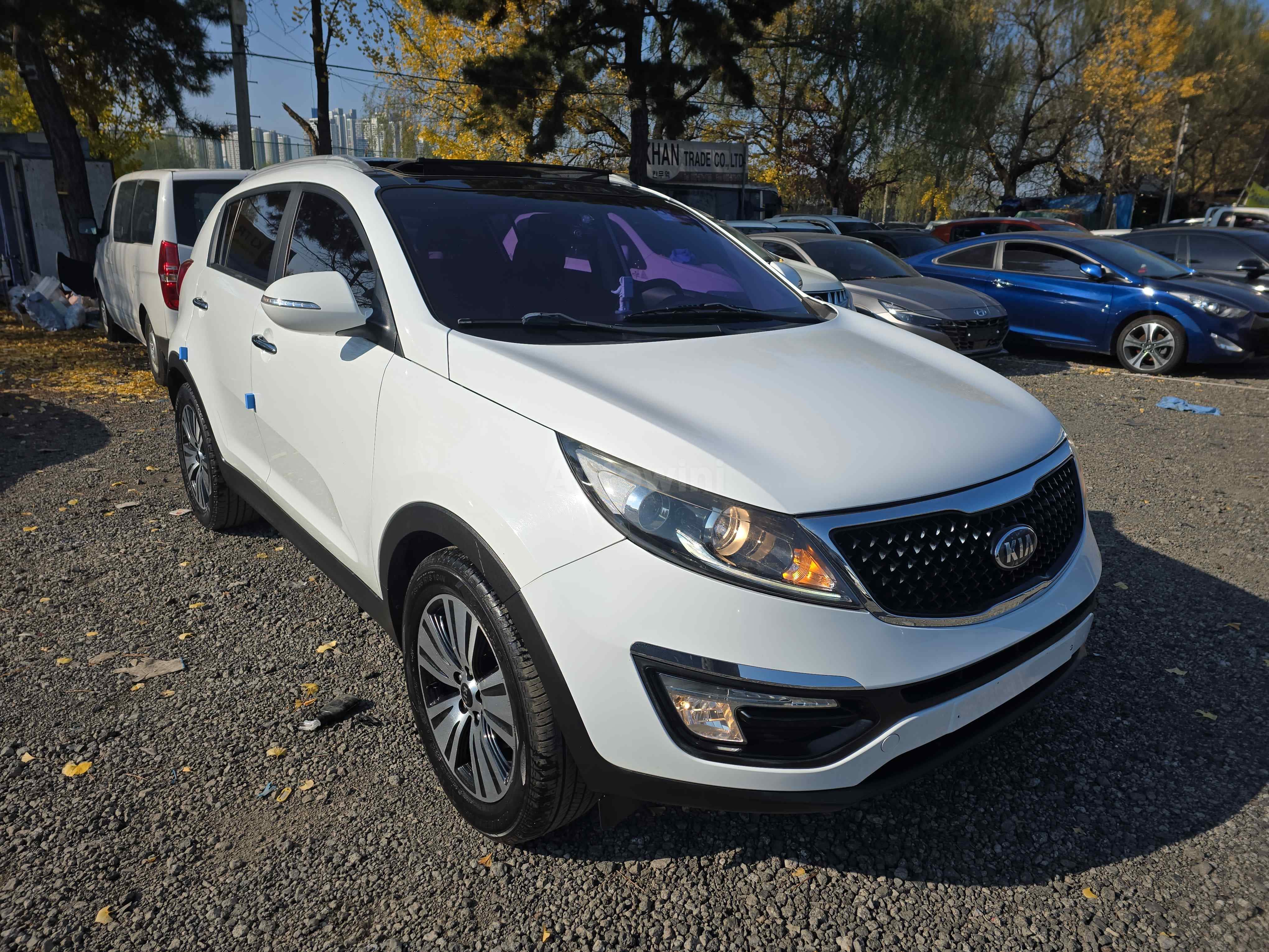 2014 KIA SPORTAGE VIN: KNAPE813BEK577862