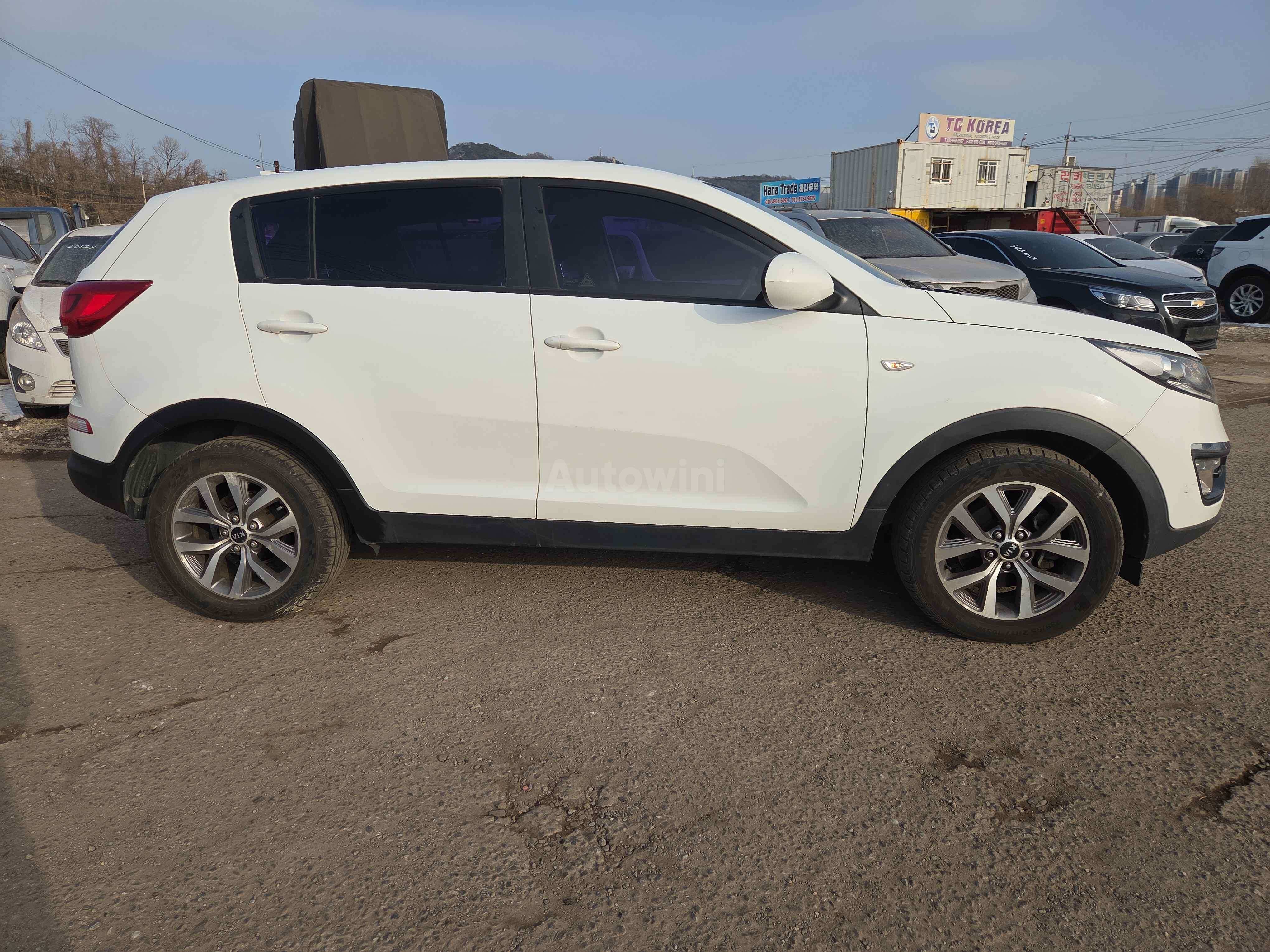 2014 KIA SPORTAGE VIN: KNAPB813BEK570879