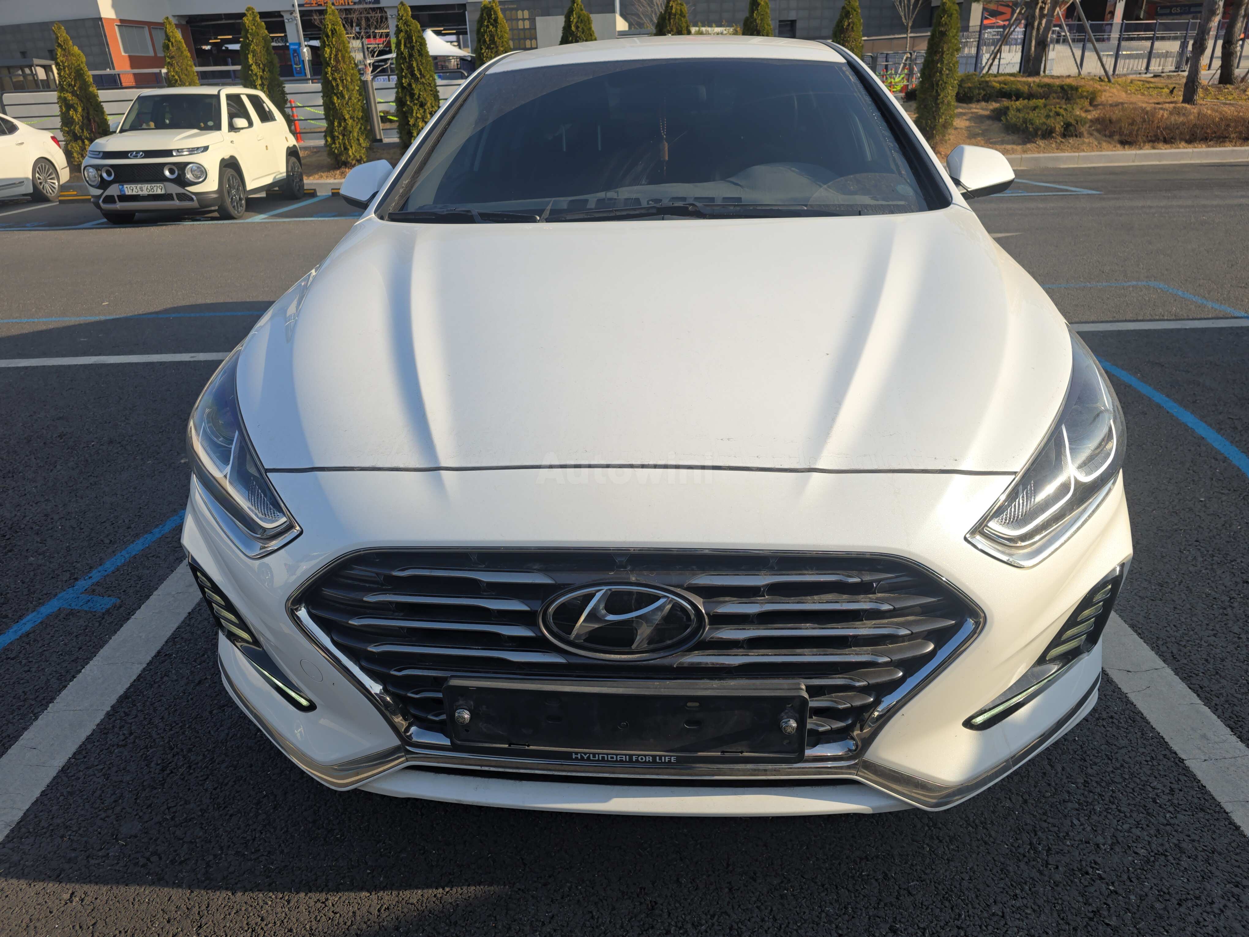2019 HYUNDAI SONATA VIN: KMHE341DBKA514933