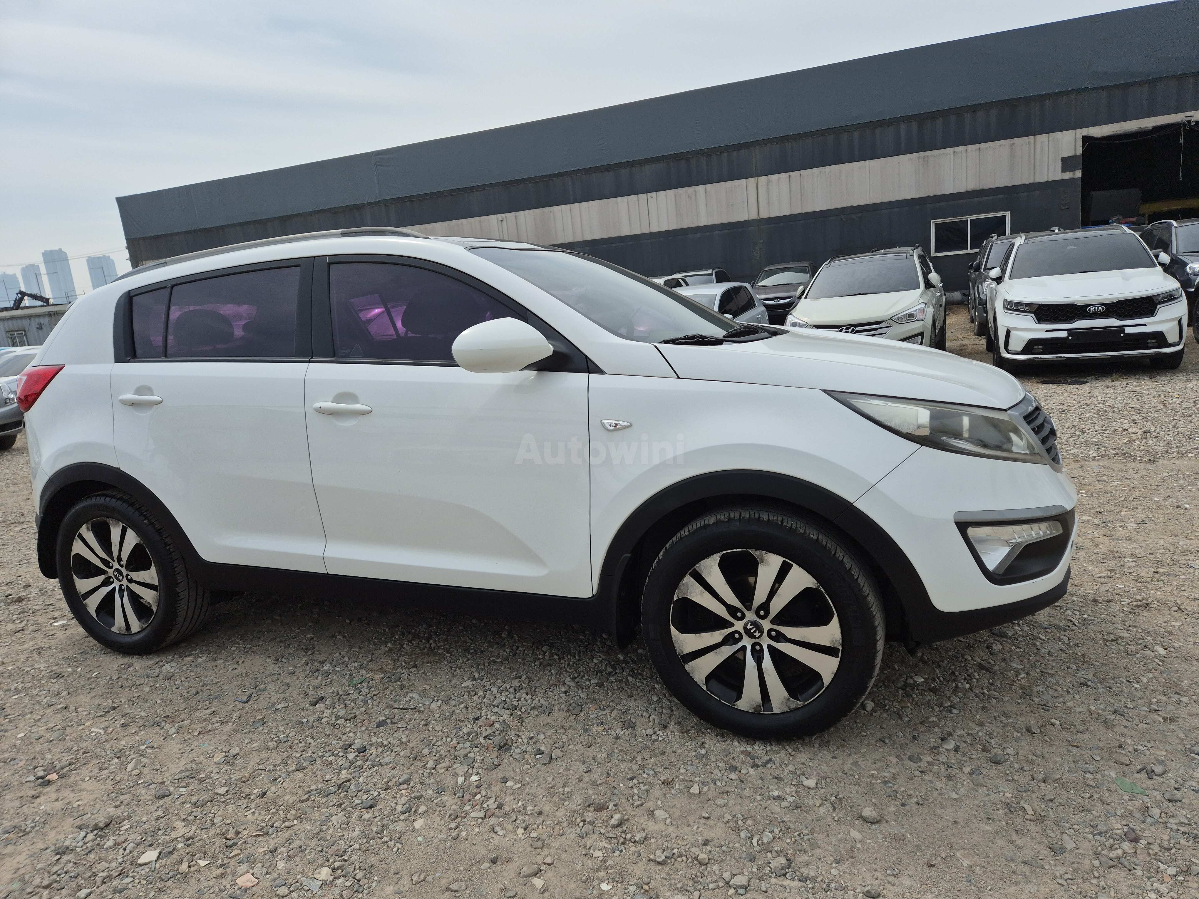 2011 KIA SPORTAGE VIN: KNAPB813BBK028338