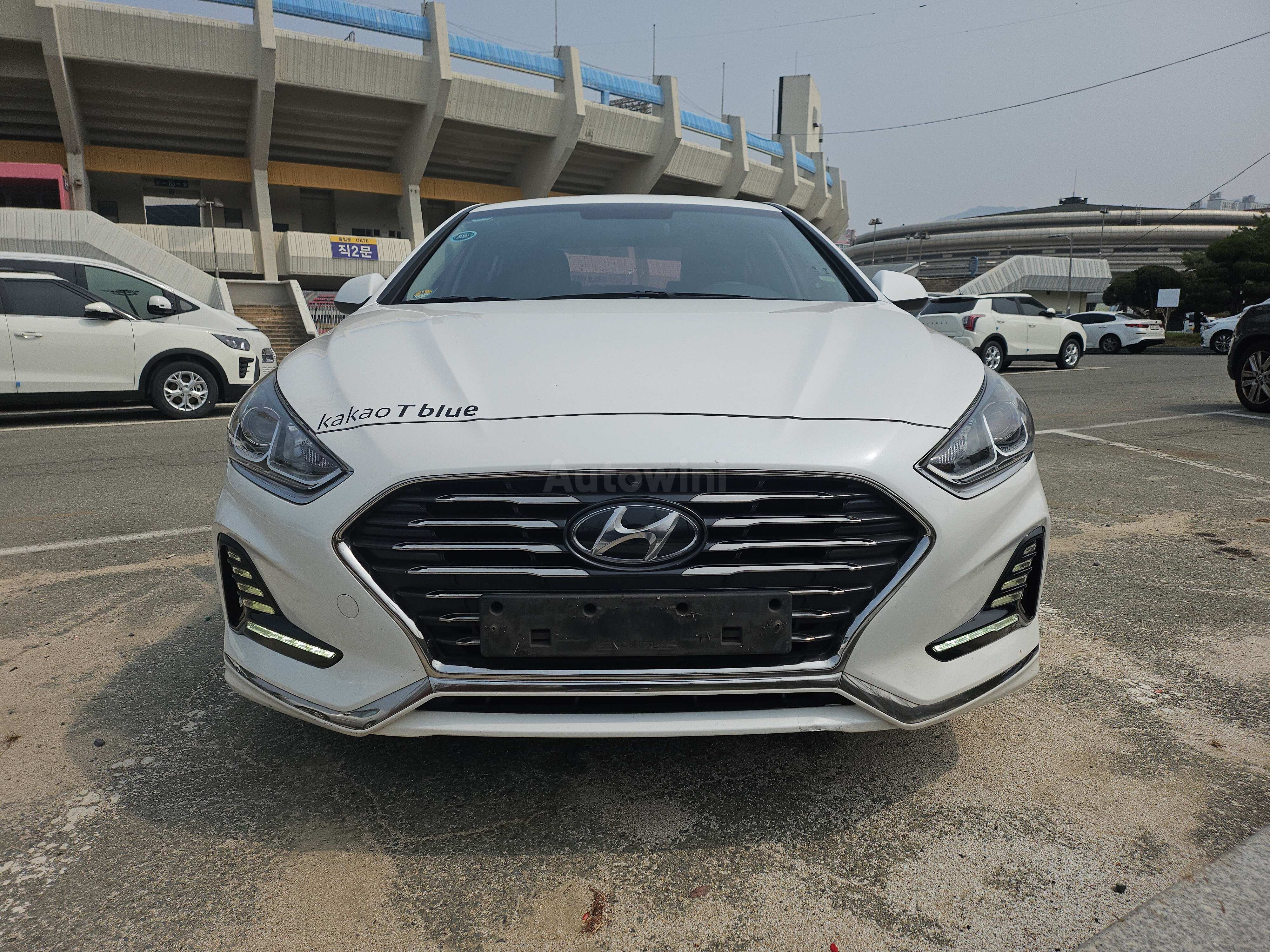 2019 HYUNDAI SONATA VIN: KMHE314DBKA551267