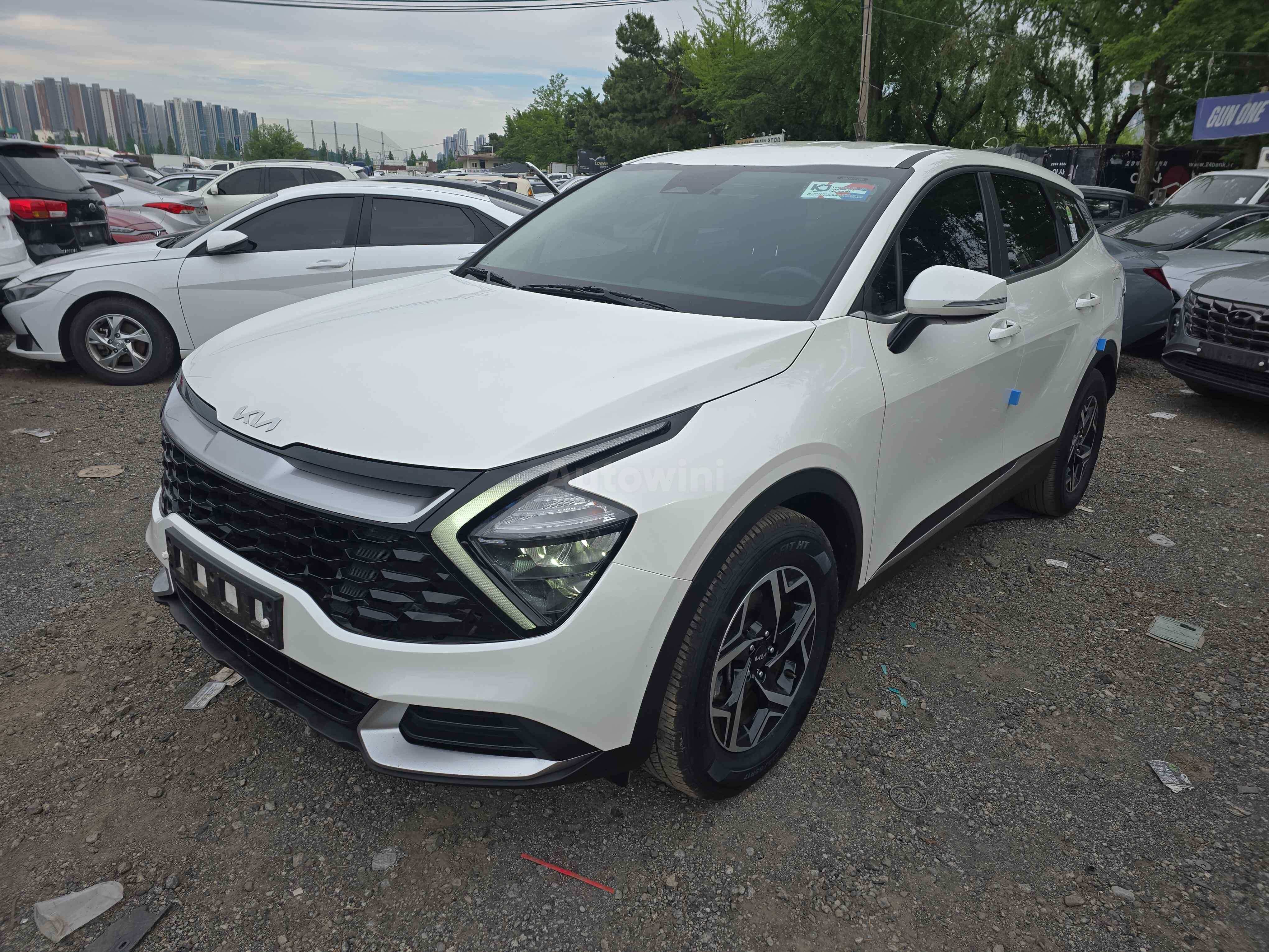 2022 KIA SPORTAGE VIN: KNAPT81BGNK075043