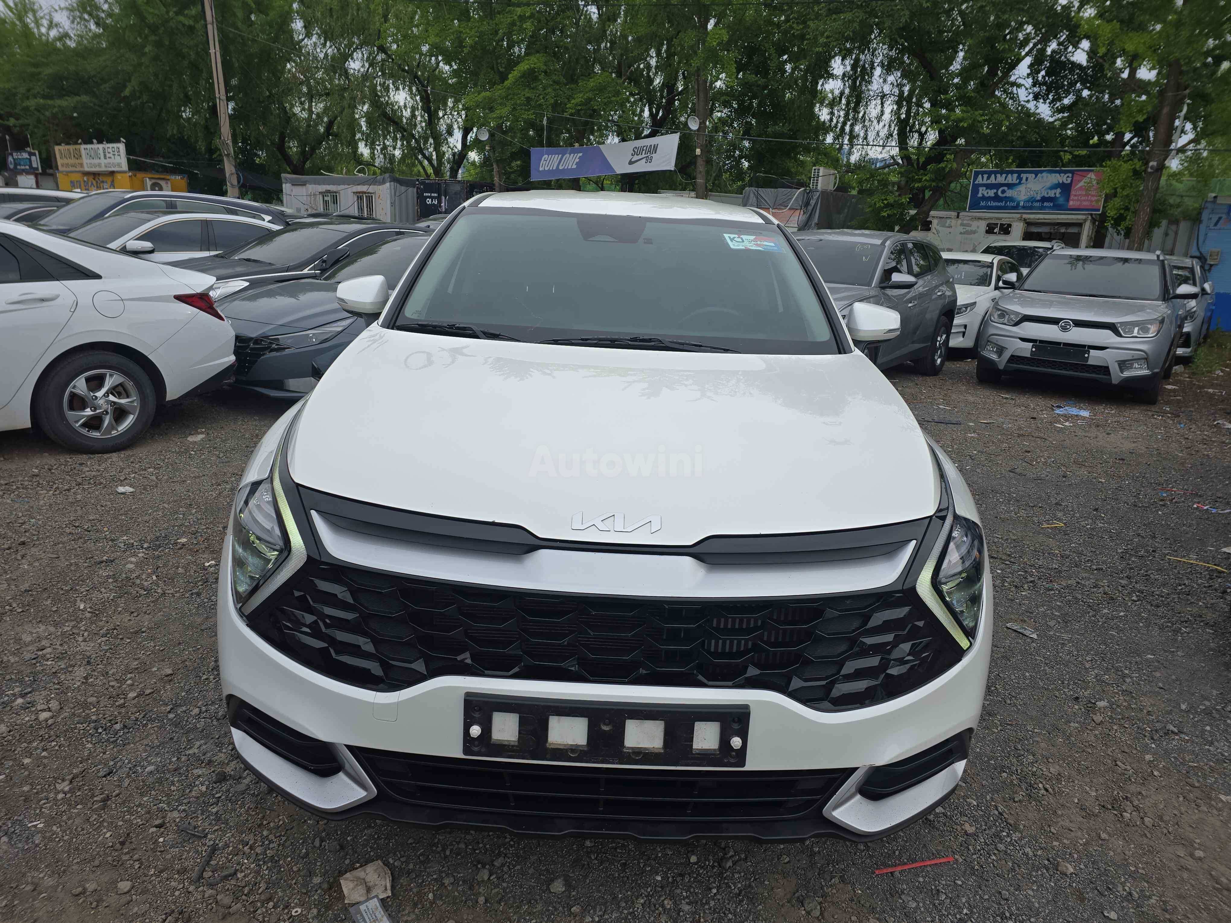 2022 KIA SPORTAGE VIN: KNAPT81BGNK075043